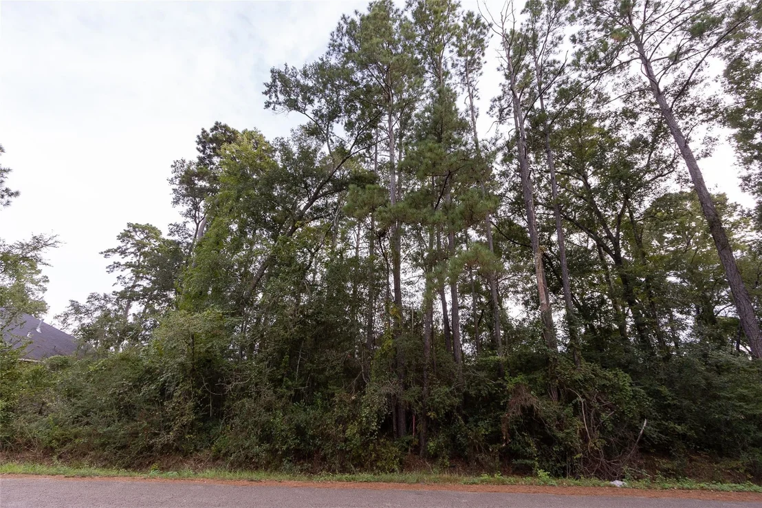 Photo of 31 Holly Springs Drive