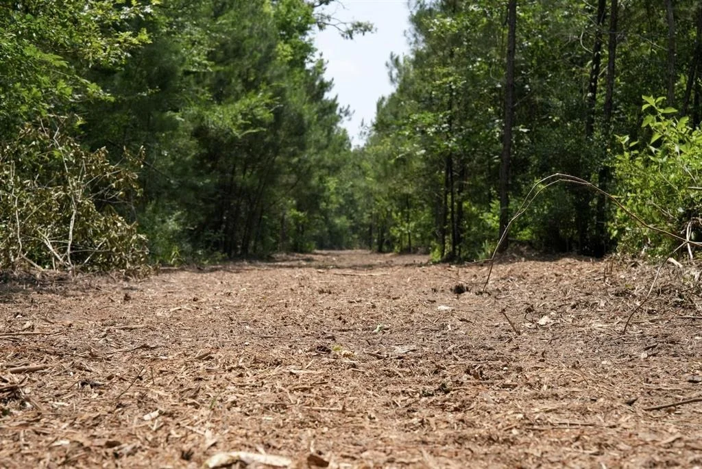 Photo of TBD 2 Robert Jones Rd