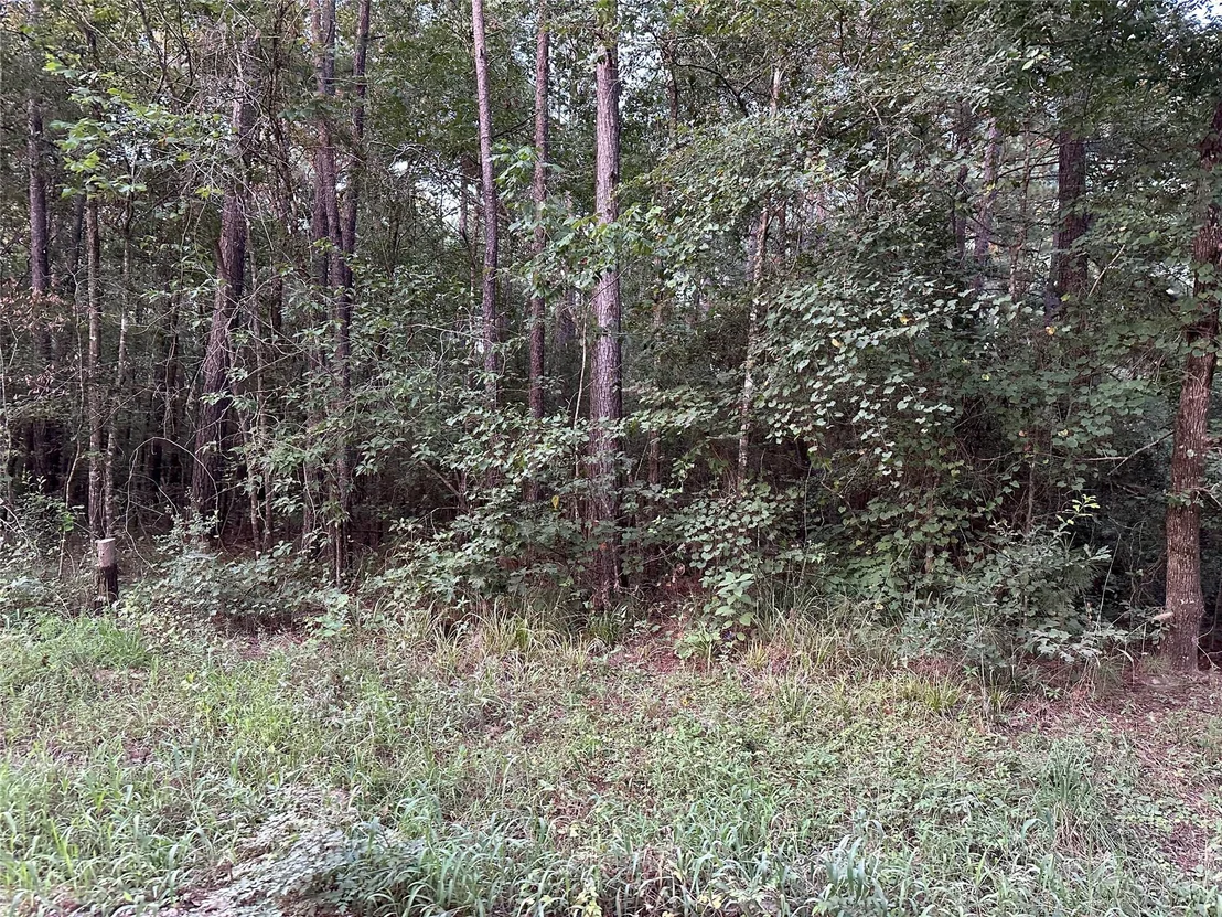 Photo of 2103 Jenkins Road