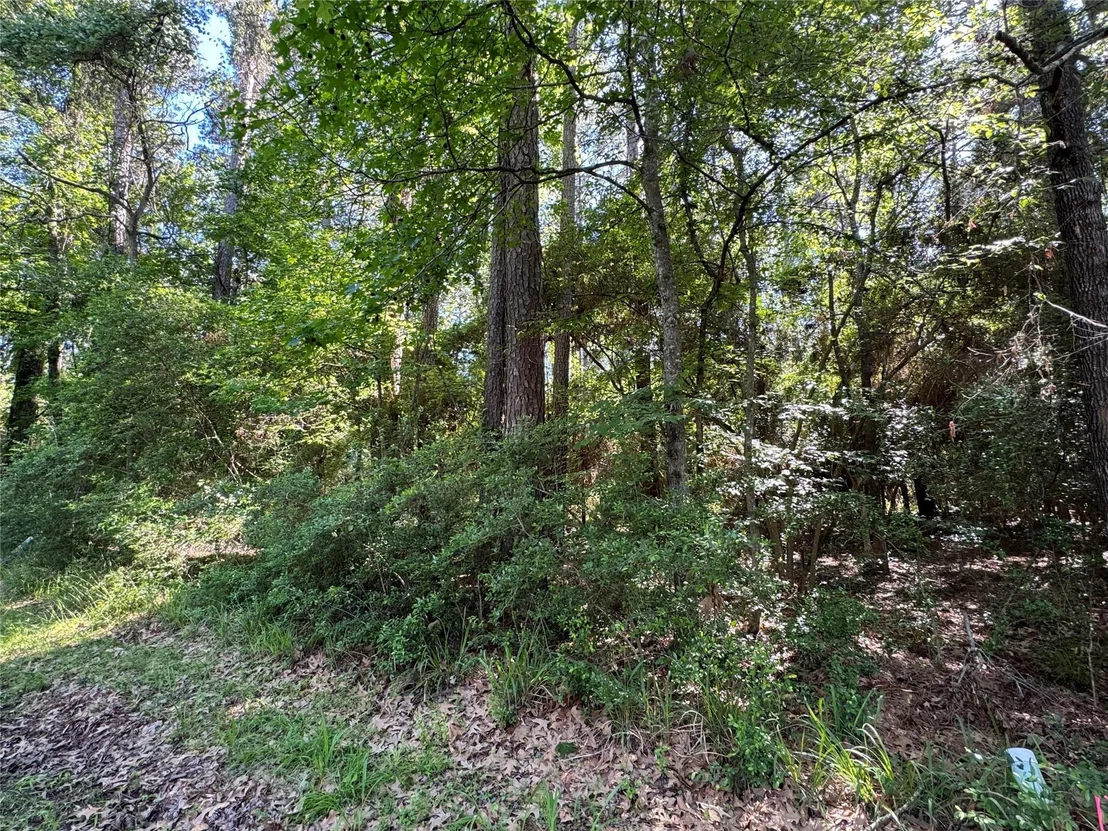 Photo of 16 Forrest Hollow