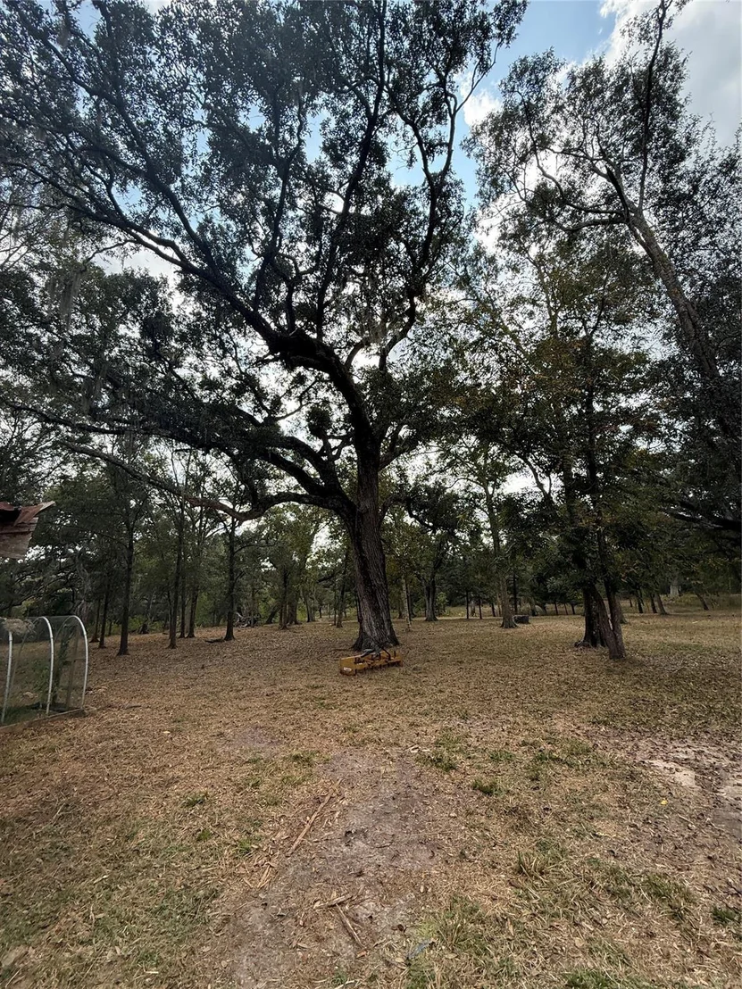 Photo of 0 Fm-1459