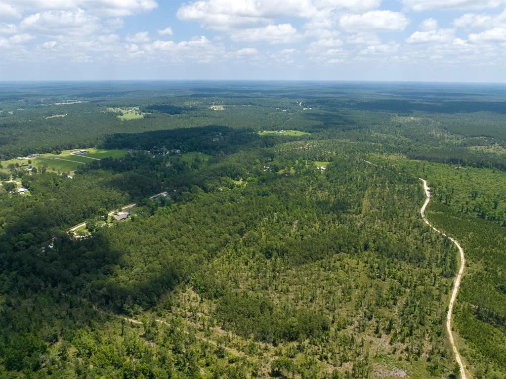 Photo of TBD Fm 355