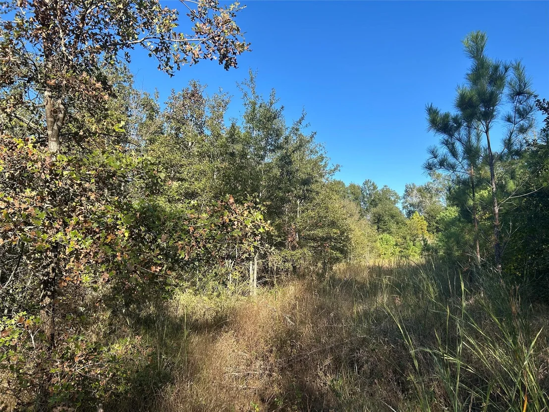 Photo of Tract 35 Fm 230