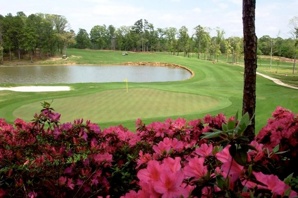 Photo of 113 Azalea Trail