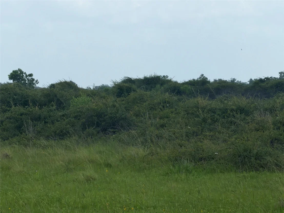 Photo of 0 Fm 616