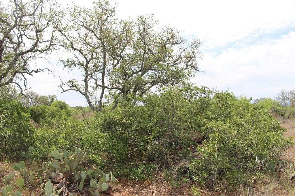 Photo of 000 Tx-29 Highway