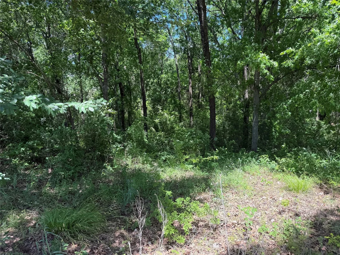 Photo of 1341 & 1343 Waikiki Trail
