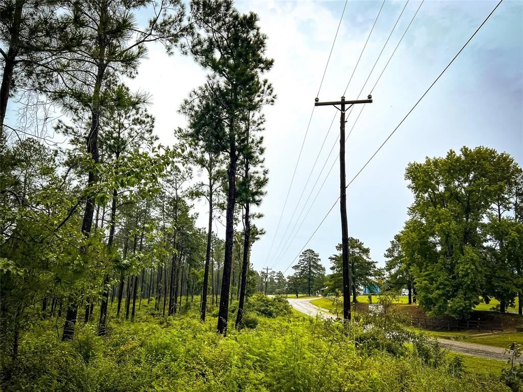 Photo of 02 Cr 258