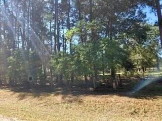 Photo of 441 Wonderland Drive