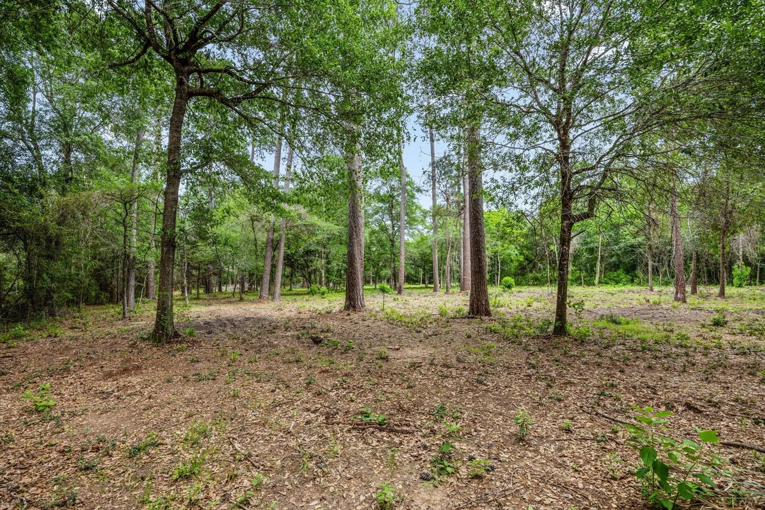 Photo of 26020 Pine Shadows Drive