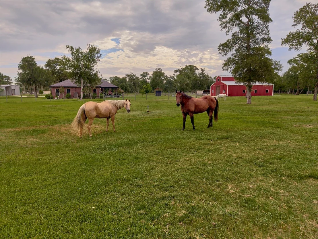 Photo of 4797 County Road 571a