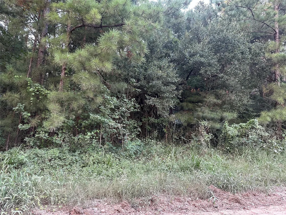 Photo of 2103 Jenkins Road