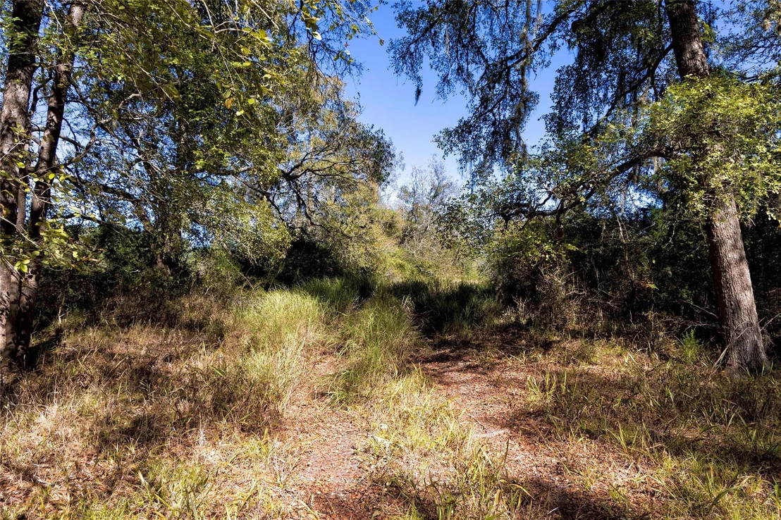Photo of 202 County Road 142b