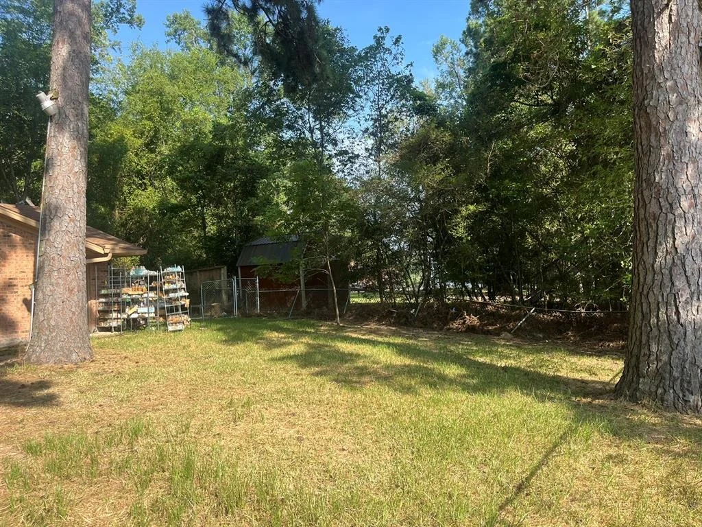 Photo of 218 Collins