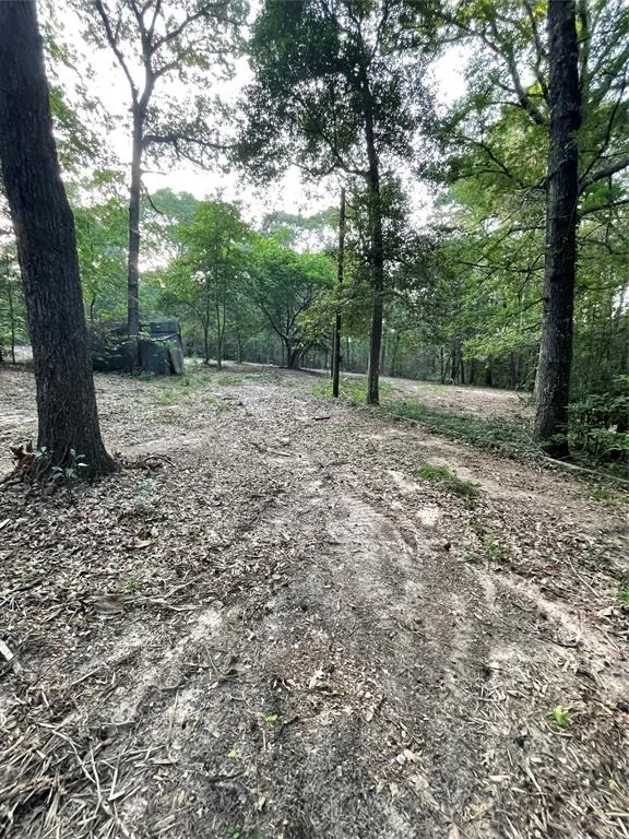 Photo of 11451 White Road