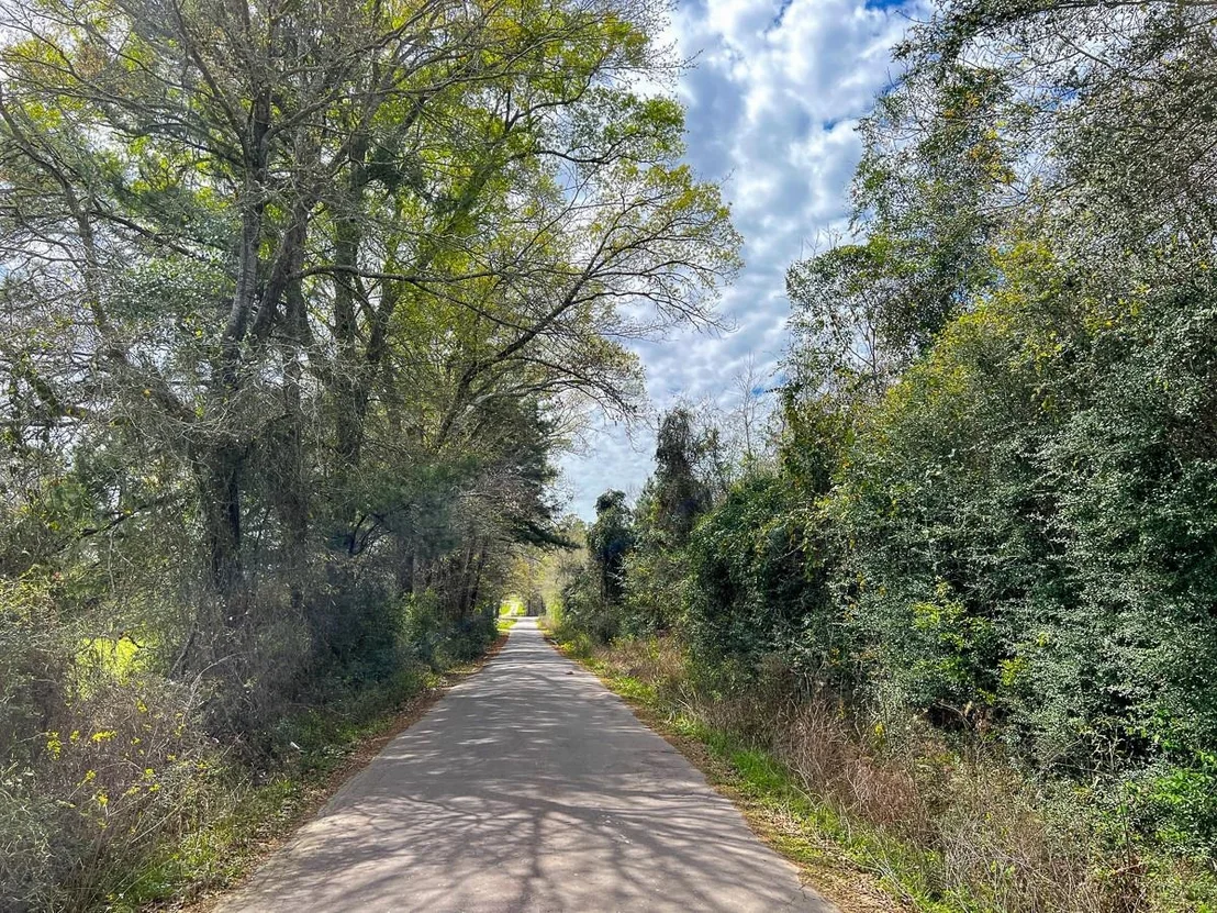 Photo of 4 Eugene Walker Road