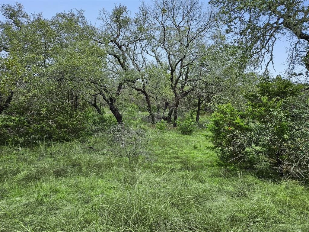 Photo of 157 Verbena Circle