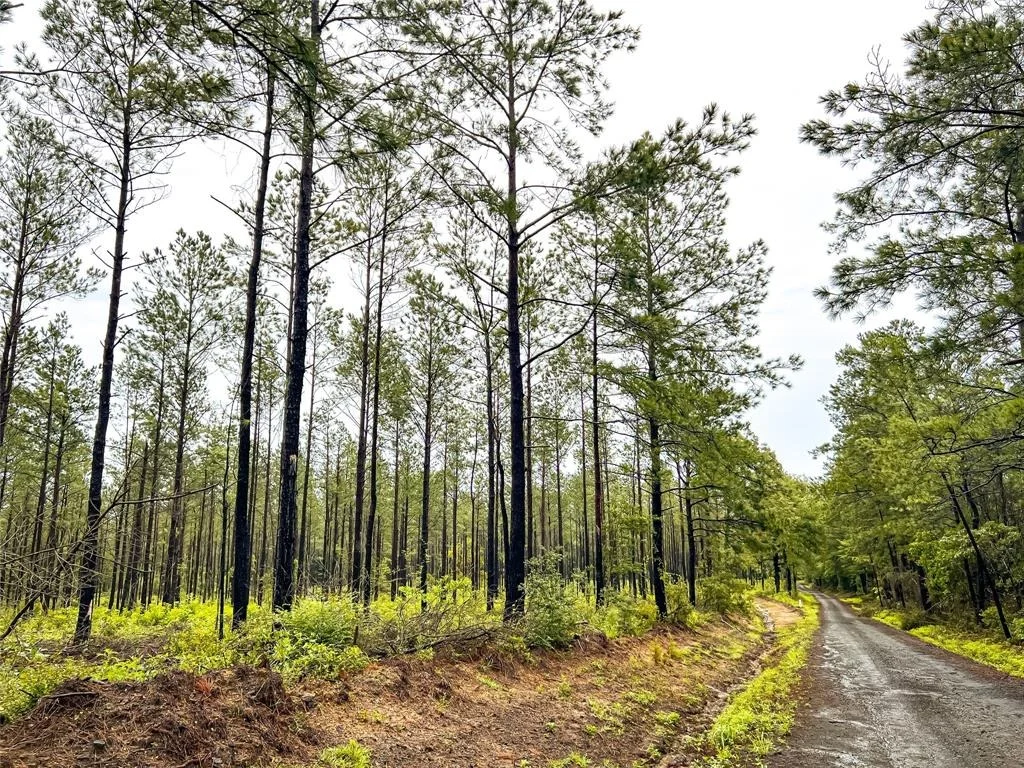 Photo of 02 Cr 258