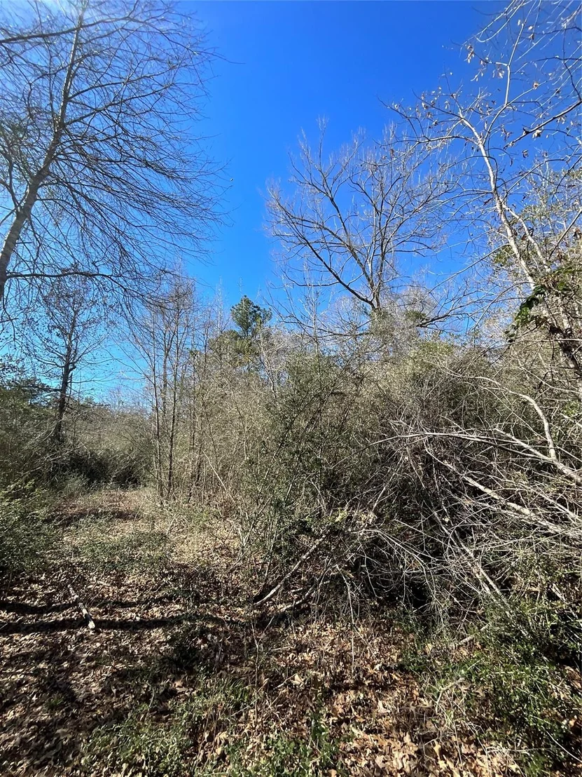 Photo of 341 Exploration Road