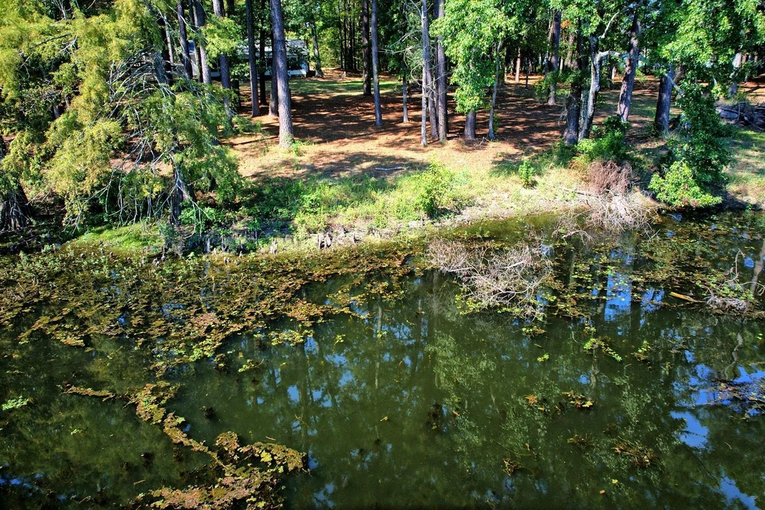 Photo of 431 Madie Duhon Drive