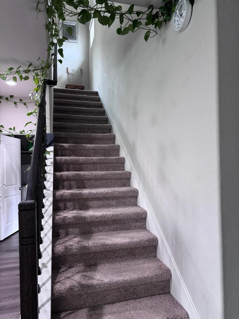 Photo of 24718 Bastiani Canvas Lane