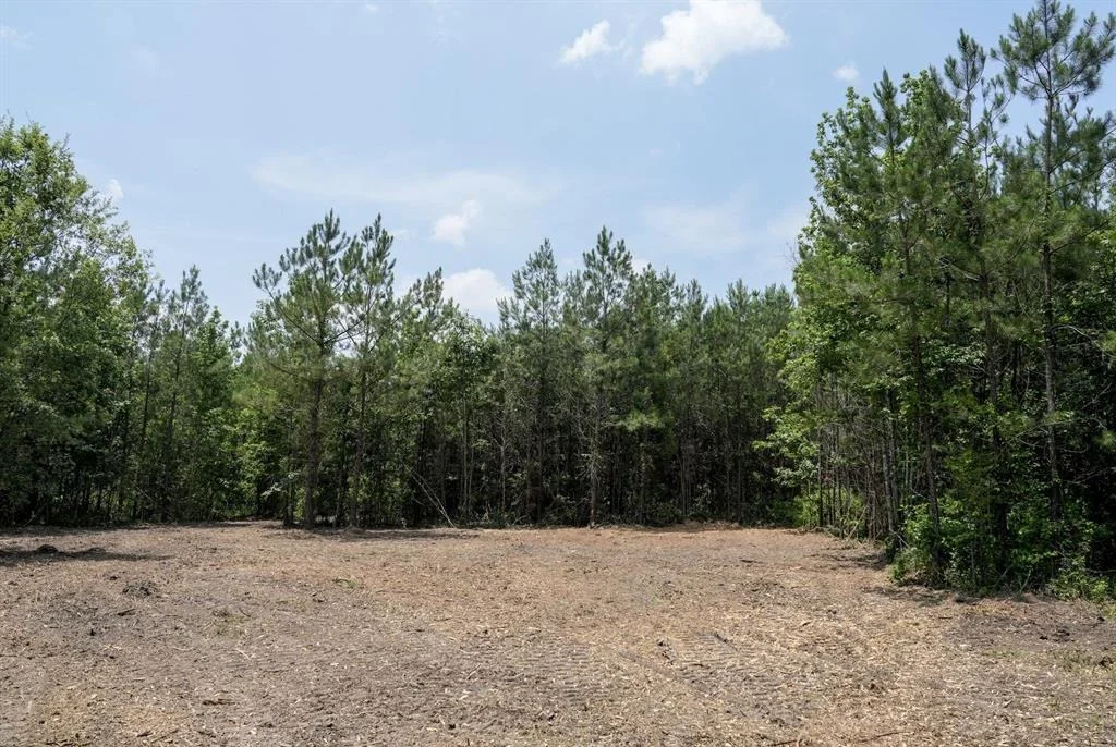 Photo of TBD 2 Robert Jones Rd
