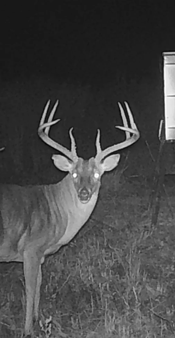 Photo of TBD Pr 1350