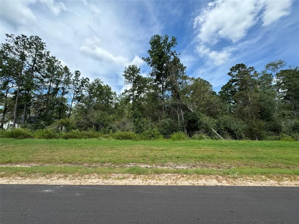 Photo of 15228 Forest Grove Drive