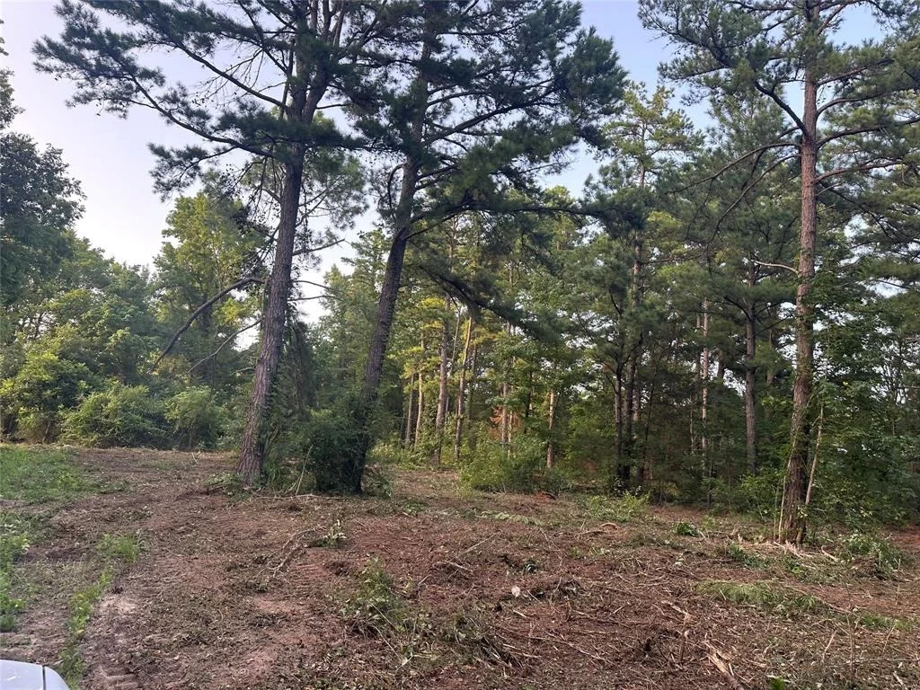 Photo of TBD Lot 9 C R 386