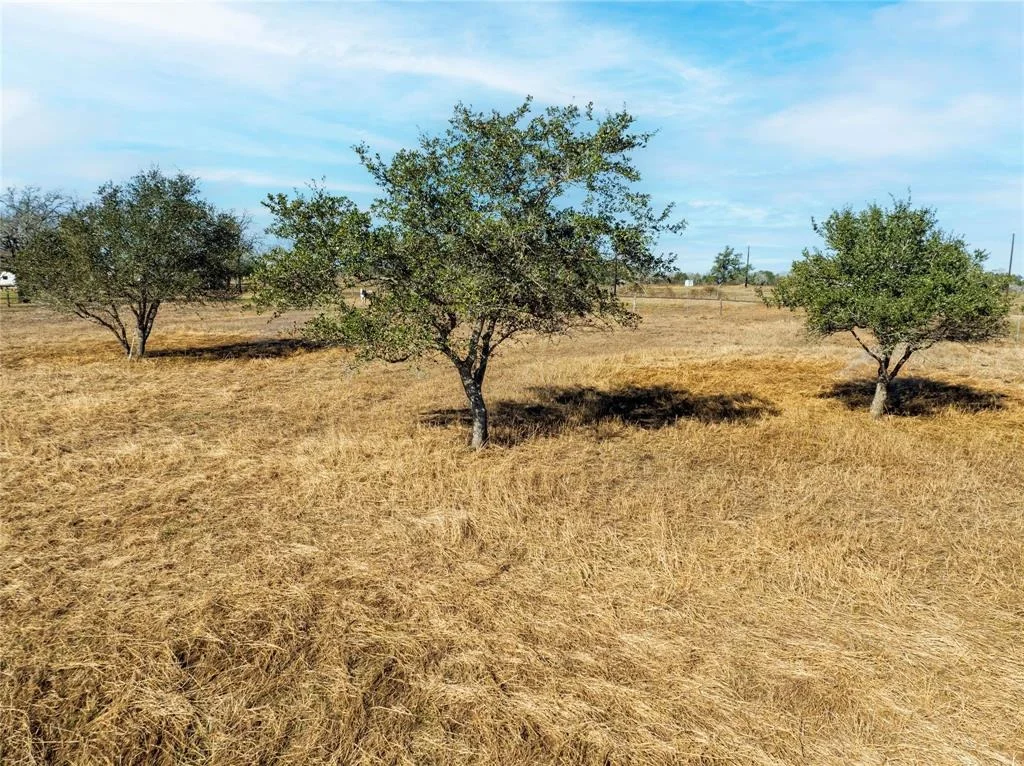 Photo of 153 Private Road 4001