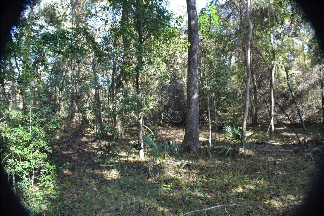 Photo of 3415 Evergreen Drive