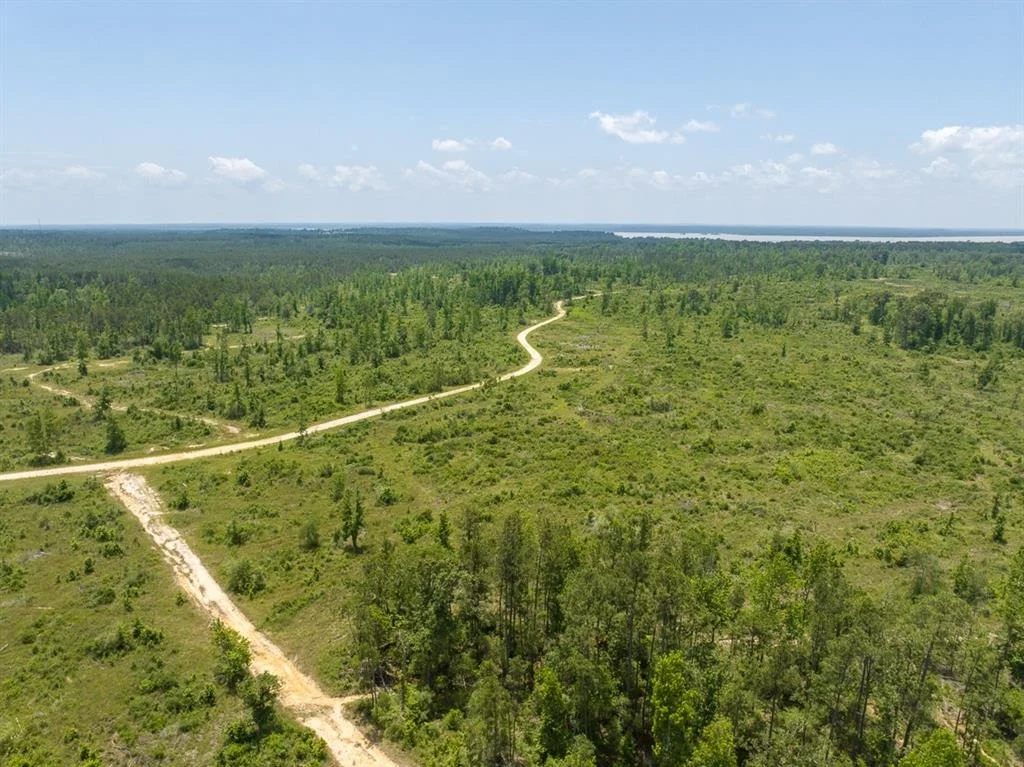 Photo of TBD Fm 355