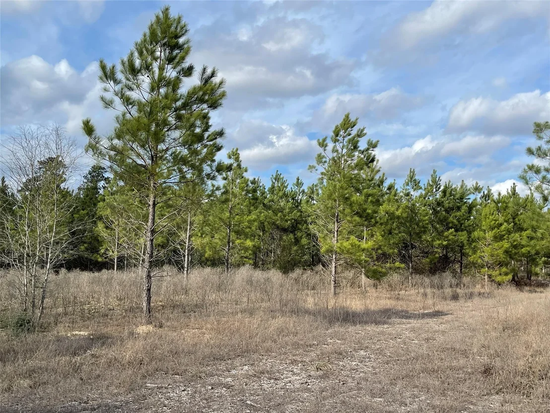 Photo of 15699 Ridge Rock Road