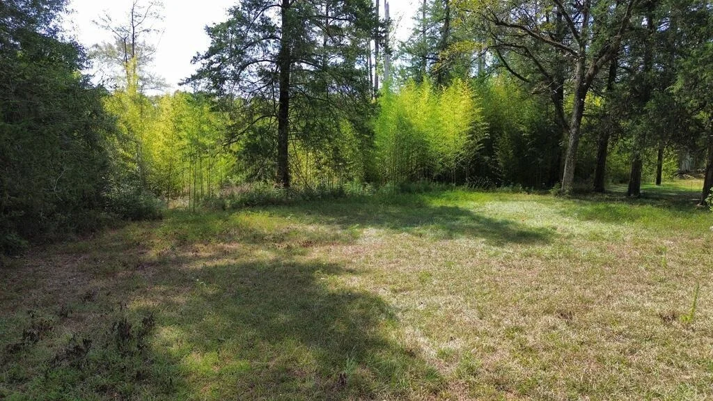 Photo of 1156 County Road 2132