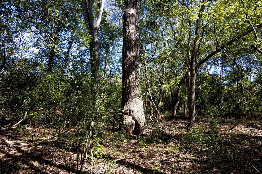 Photo of 202 County Road 142b