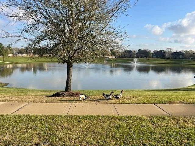 Photo of 7007 Windy Run Court