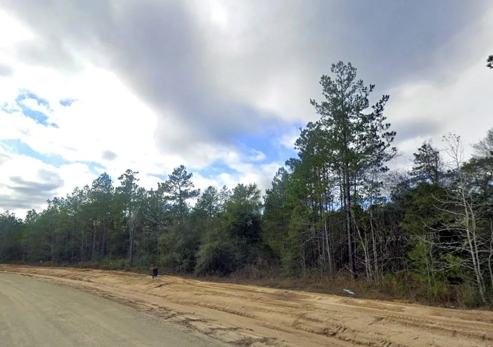 Photo of 11652 Grand North Road