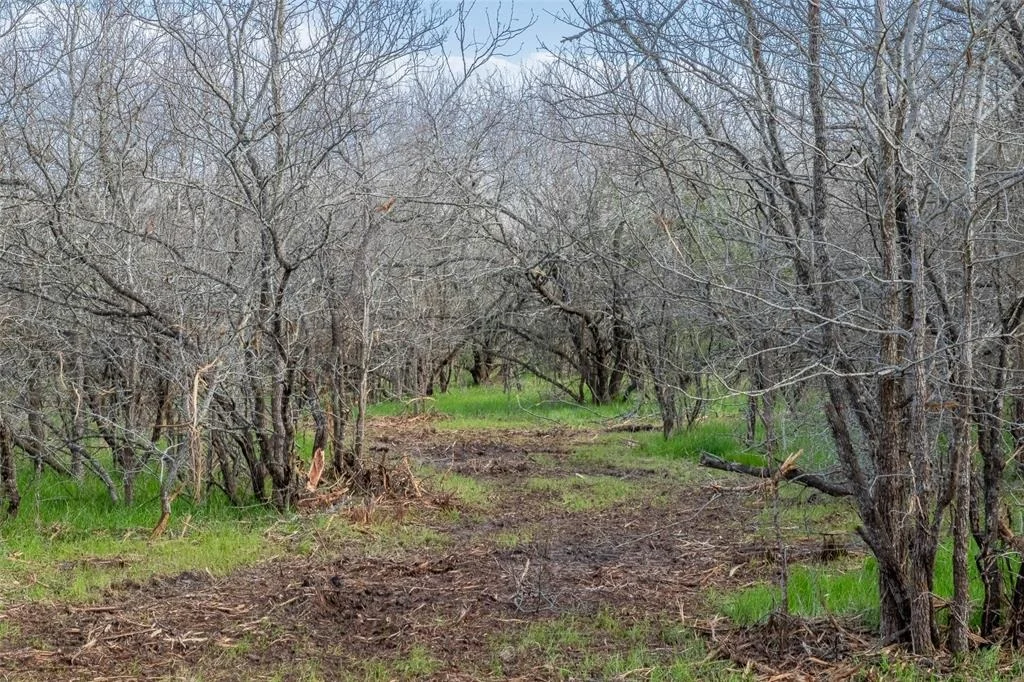 Photo of 10366 County Road 276