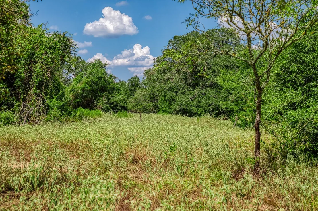 Photo of 8595 County Road 324