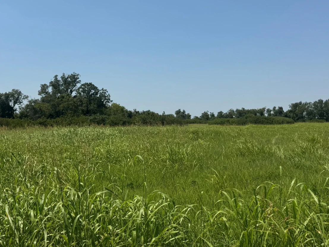 Photo of TBD County Road 230