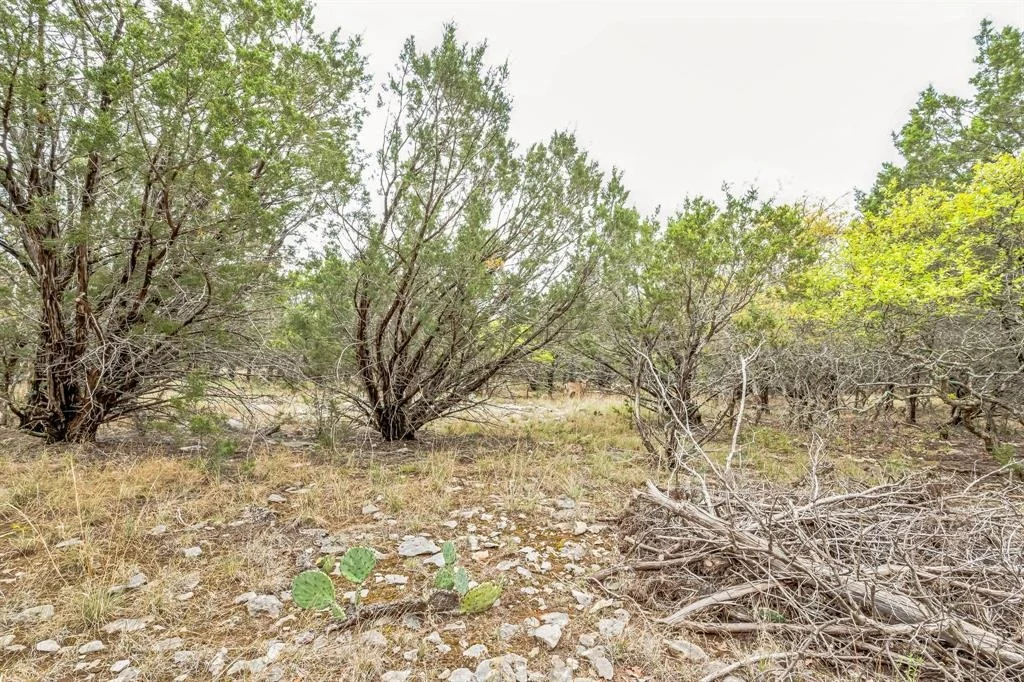 Photo of Lot 52 Carnoustie Drive