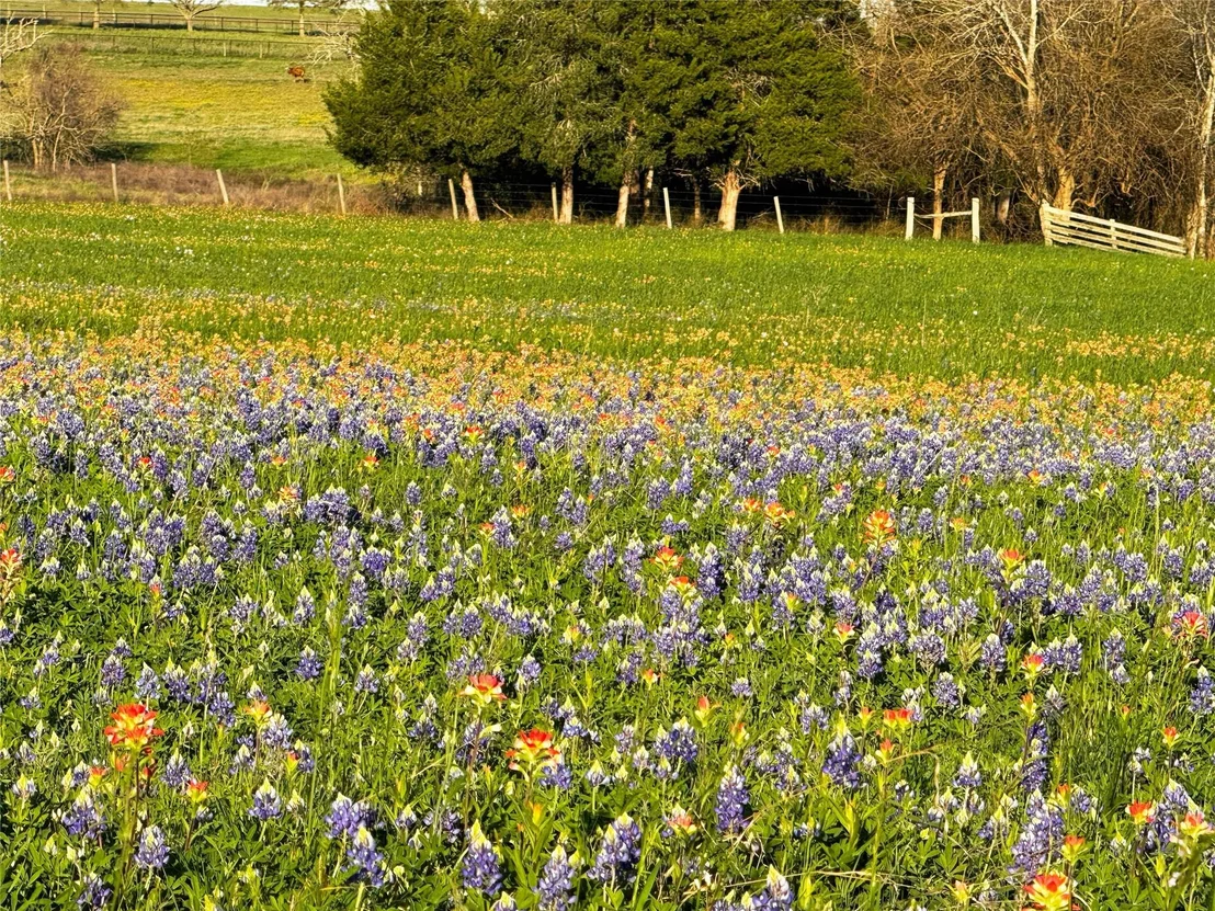 Photo of 9058 Sam Houston Road