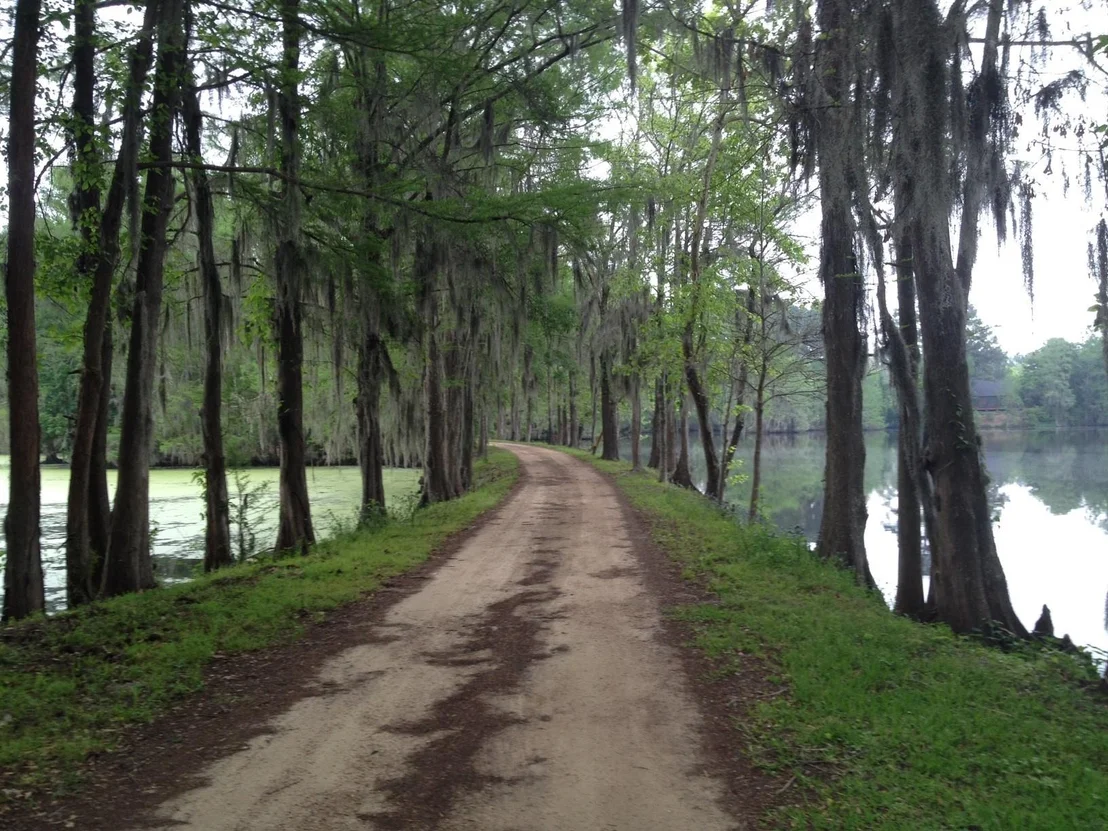 Photo of 63 N Smith Loop Loop
