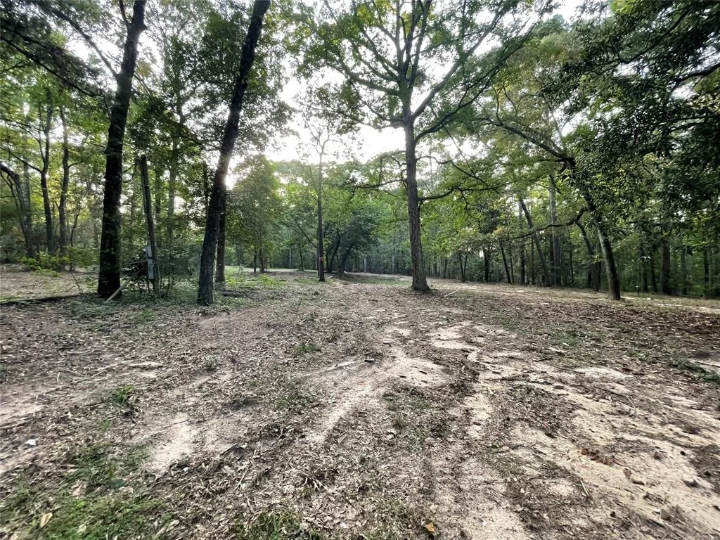 Photo of 11451 White Road