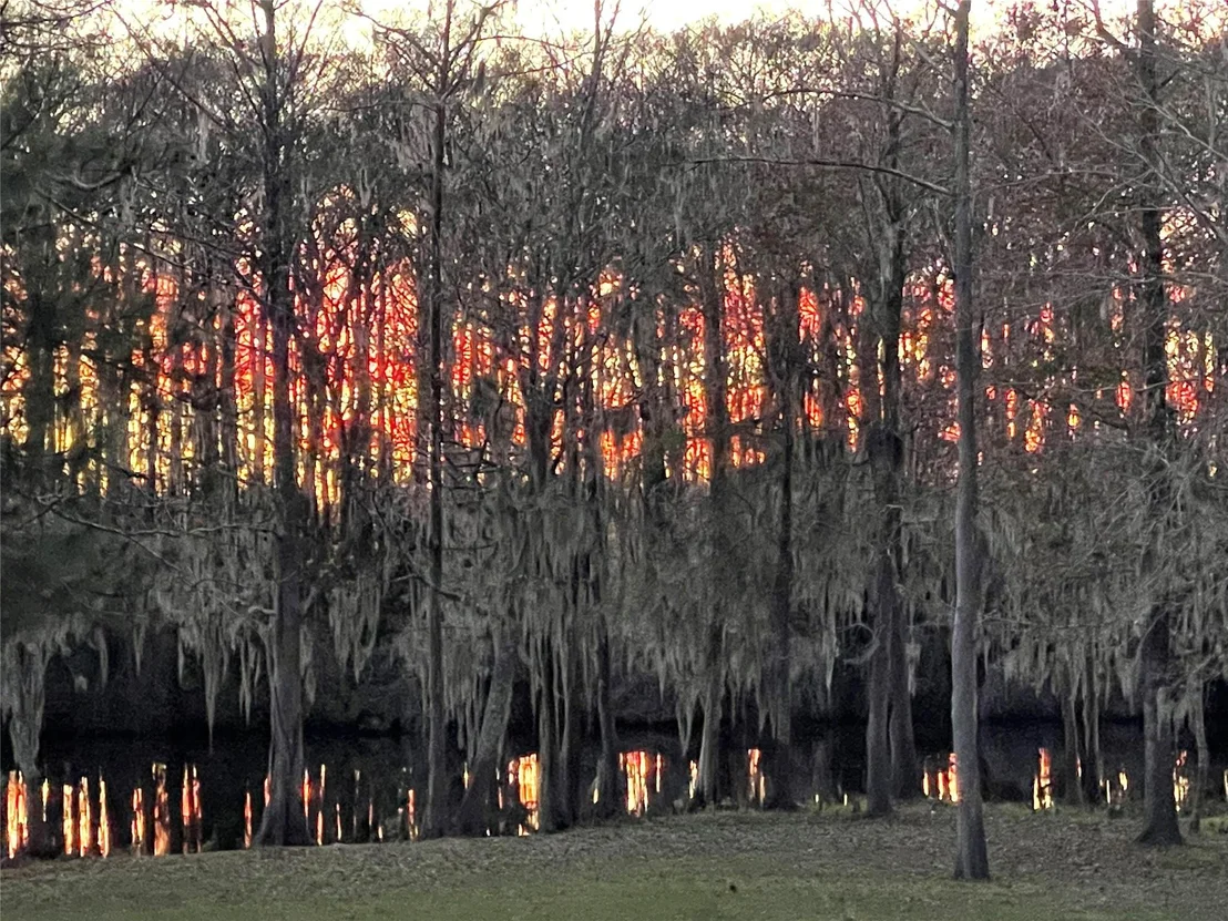 Photo of 81 Pine Meadow