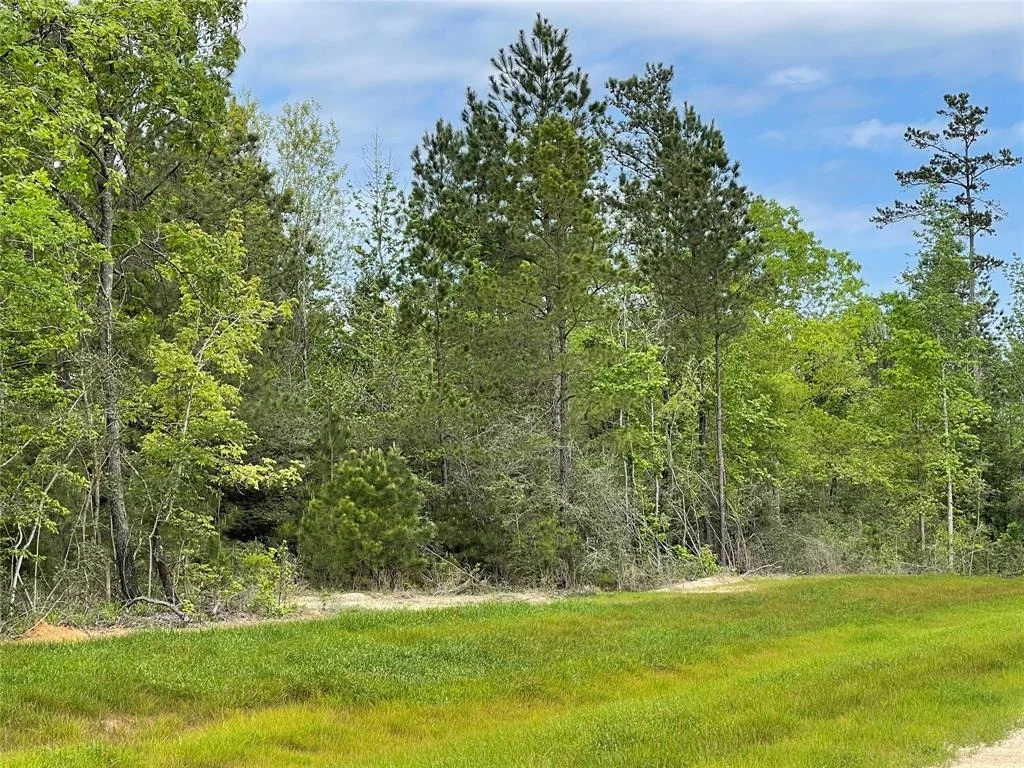 Photo of 11911 Grand North Road