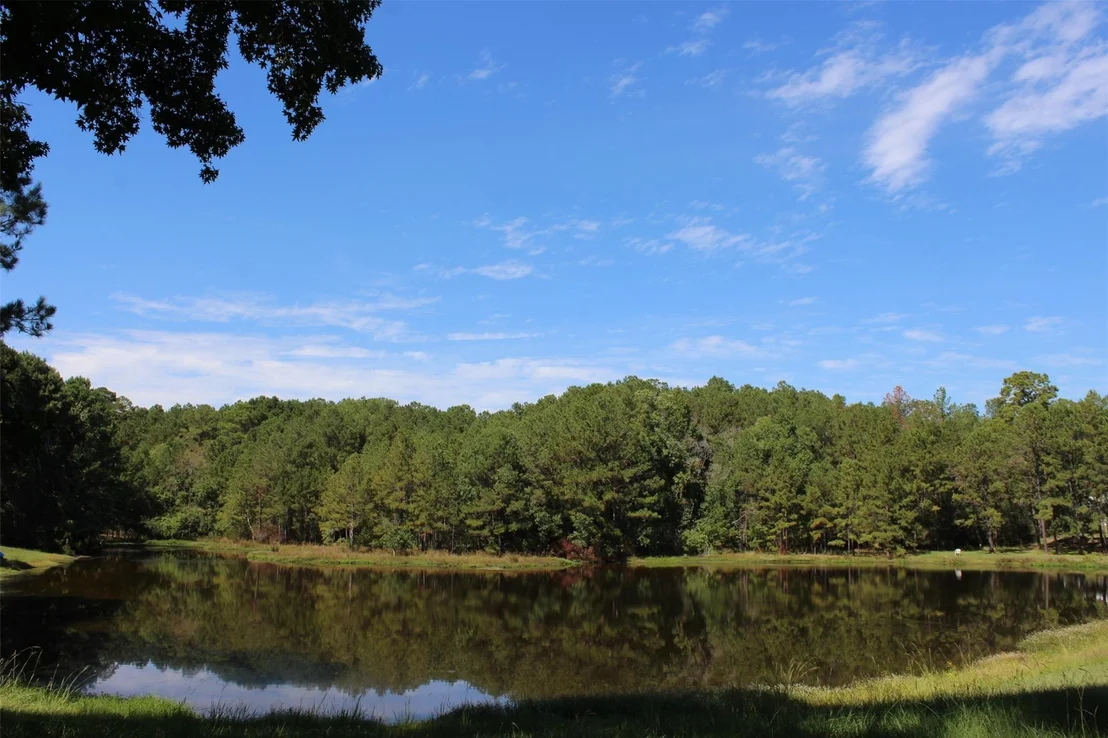 Photo of TBD 0magnolia