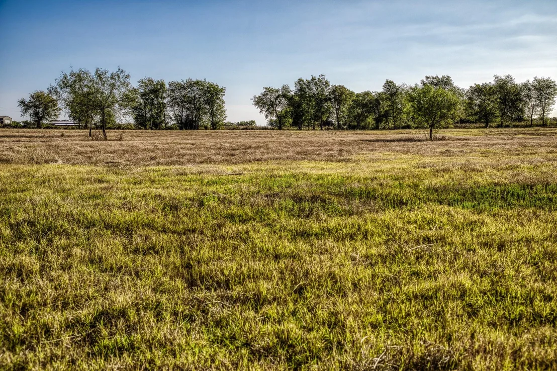 Photo of 460 County Road 328