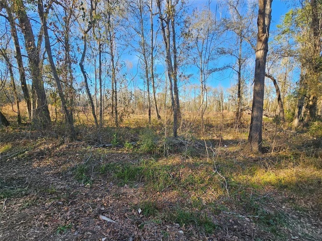 Photo of 84 Sherwood Drive