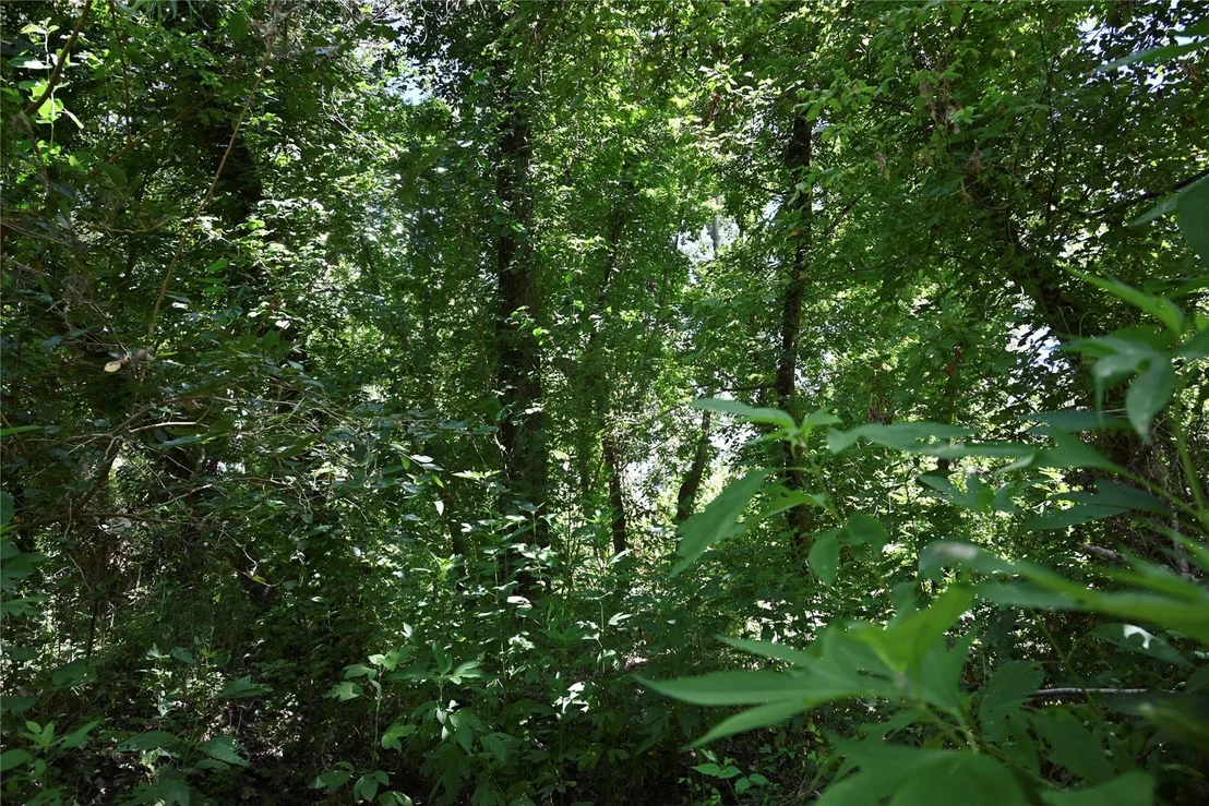 Photo of 111 6th Street